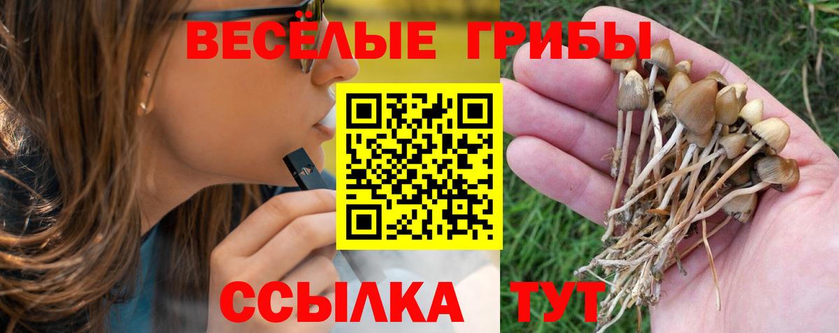 Урус-Мартан  Псилоцибиновые грибы ЛСД  Вход с VPN 